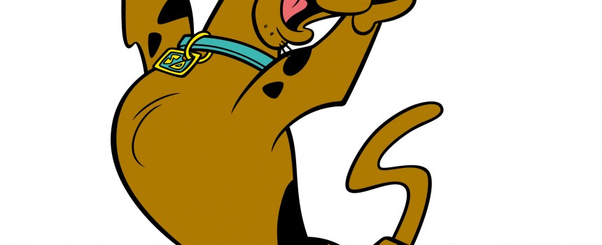Girl dog names: best rated Girl dog names: best rated