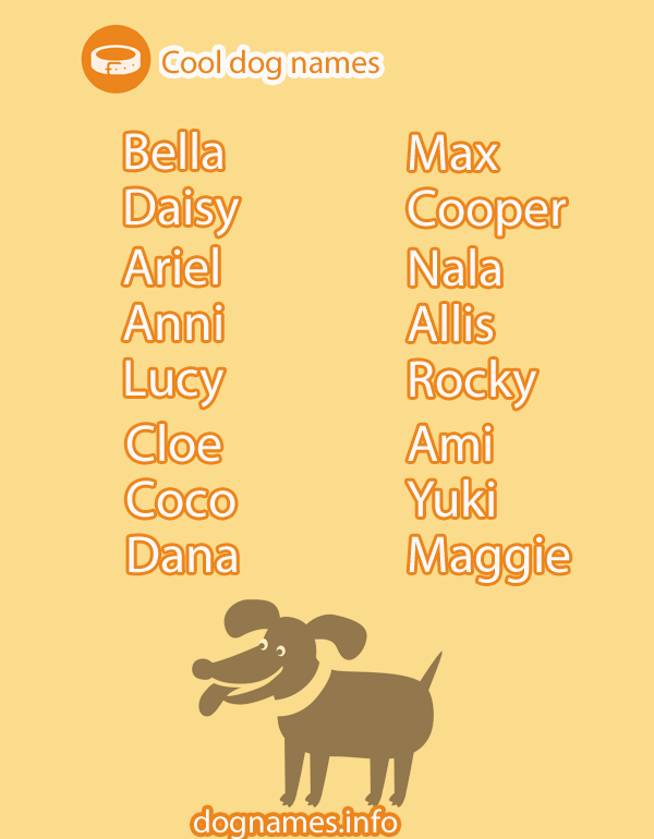Dogs names male. Cool names of the Dog. Имена для собак. Naming Dog. Dogs s names are