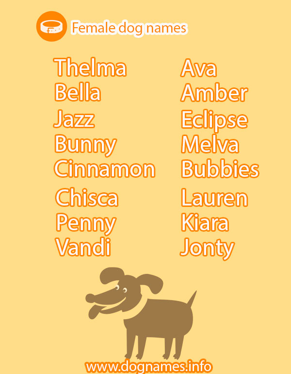 unusual girl dog names