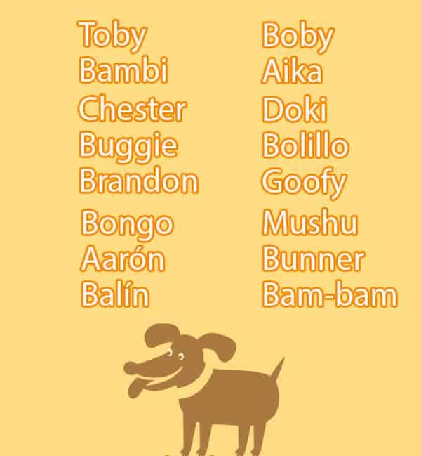 male dog names