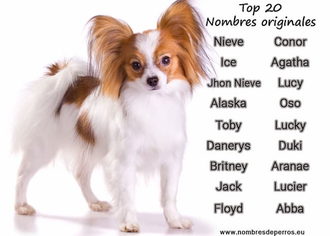 top20 original names