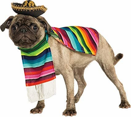 mexican dog names